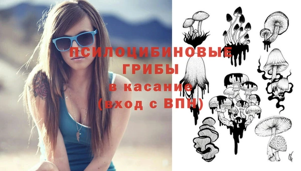 метадон Вяземский