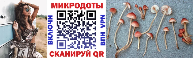Галлюциногенные грибы MAGIC MUSHROOMS  что такое наркотик  Дудинка 