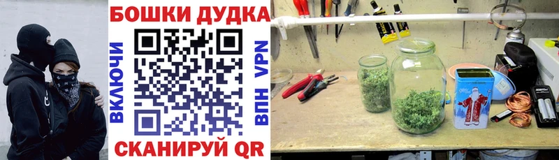 Каннабис планчик  Дудинка 